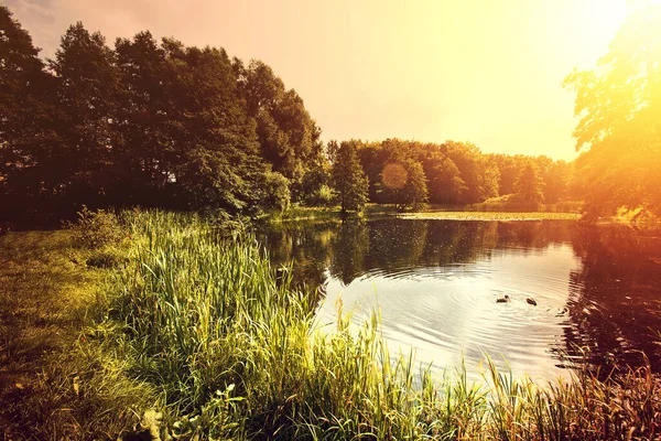 美しい自然背景 湖と自然 — ストック写真