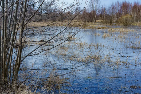 View of field flooded with water during the spring flood of rivers