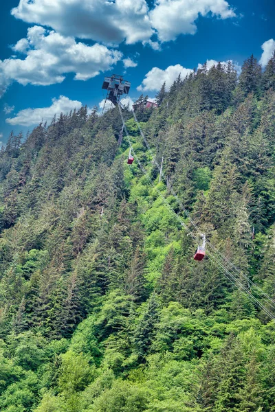 Juneau Kabelbanen Evergreens — Stockfoto