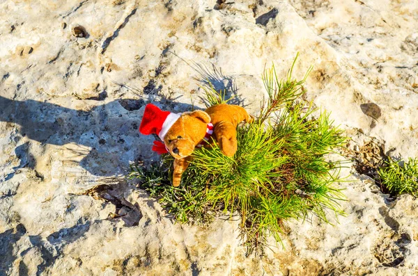 Plush Teddy Bear Rock Symbol Christmas Holiday — Zdjęcie stockowe
