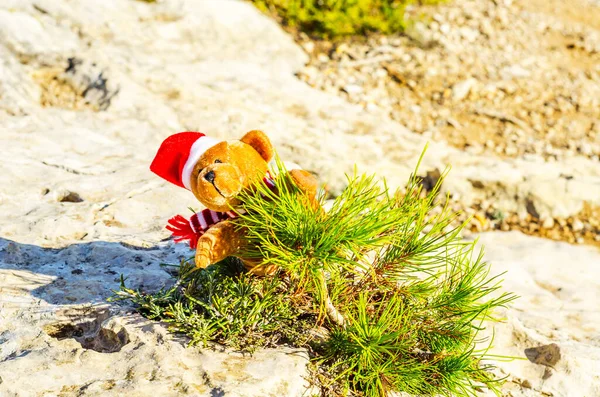 Plush Teddy Bear Rock Symbol Christmas Holiday — ストック写真