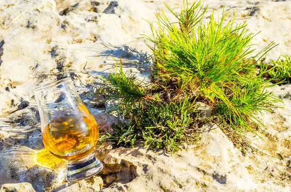 岩の上のガラスにシングルモルトウイスキーのグラス — ストック写真