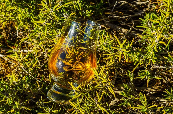 Vaso Whisky Malta Simple Vidrio Sobre Roca —  Fotos de Stock