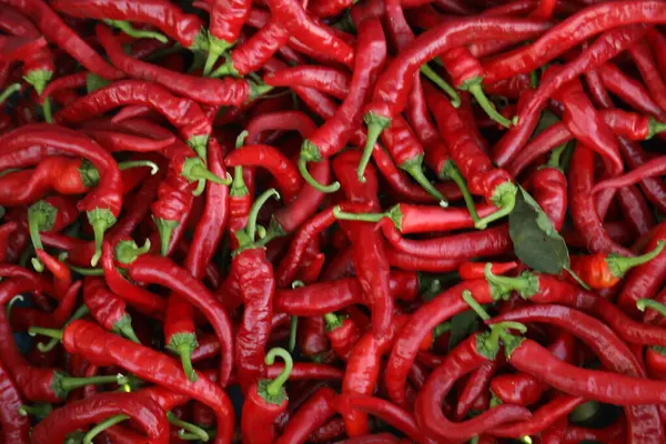 Red Organic Chilies Detailní Záběr — Stock fotografie