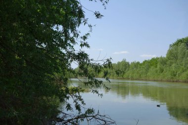 Tramsani-Pisica kollarında bahar sezonunu keşfetmek