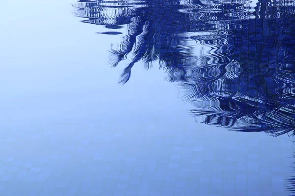 Wasseroberfläche Mit Abstrakter Baumreflexion — Stockfoto