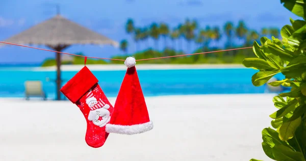 Красный Санта Шляпа Рождественский Чулок Между Пальмами — стоковое фото
