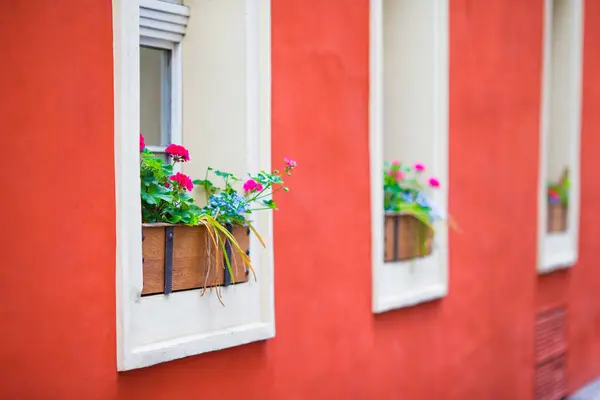 Buntes Fenster Mit Blumen Hauswand — Stockfoto