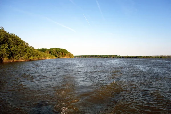 多瑙河两岸天然林全景 — 图库照片
