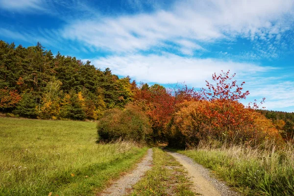 Camino Tierra Que Conduce Entre Arbustos Color Otoño — Foto de Stock