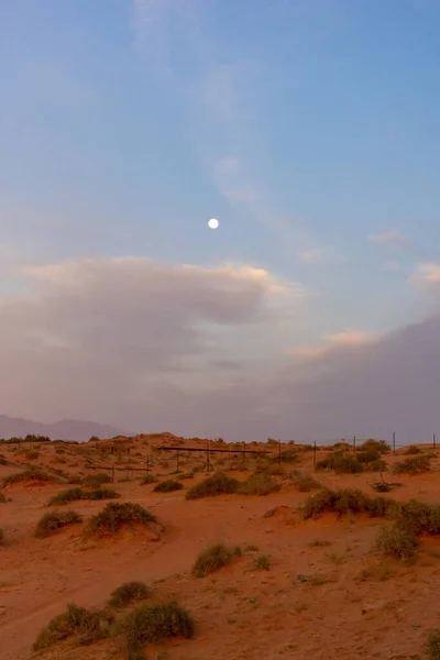アラブ首長国連邦の砂漠の砂丘での夕暮れ — ストック写真