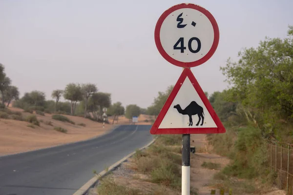 砂漠の道や通りで交差するサインに注意してください — ストック写真