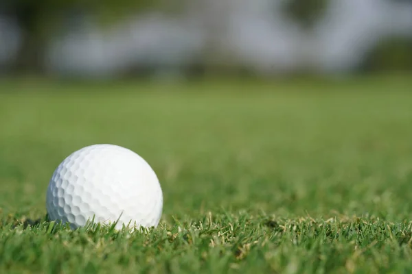 緑の草の上のゴルフボールのクローズアップ — ストック写真