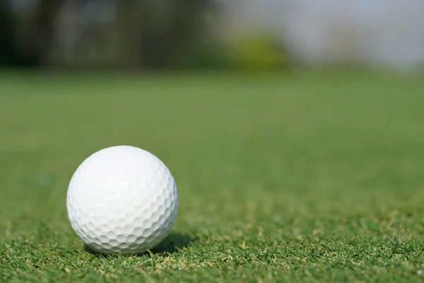 Close Een Golfbal Een Groen Gras — Stockfoto