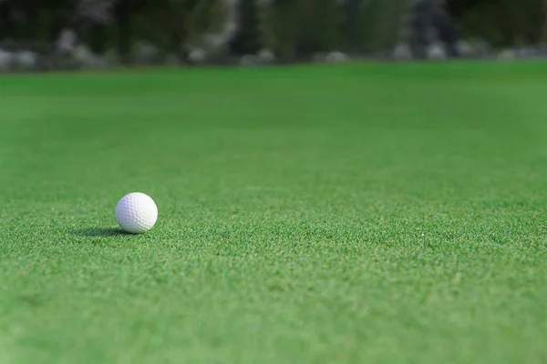 Gros Plan Sur Une Balle Golf Sur Une Herbe Verte — Photo