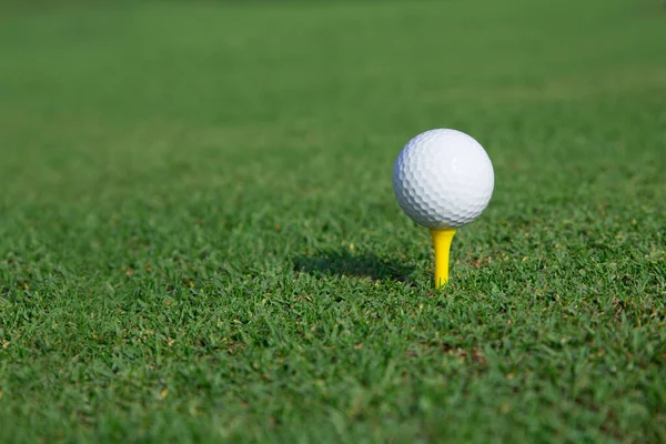 Golfball Auf Einem Abschlag Auf Einem Grünen Gras — Stockfoto