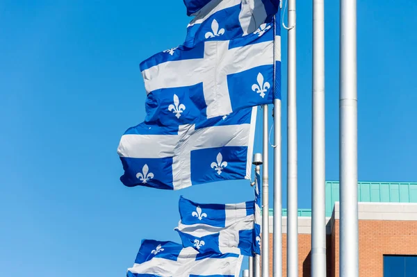 Banderas Quebec Quebec City — Foto de Stock