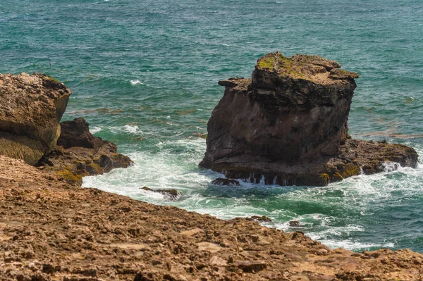 Martinique 'deki Petrifikasyon Savanası