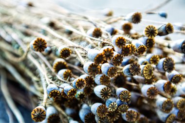 Arkaplanda haşhaş tohumları, kapat