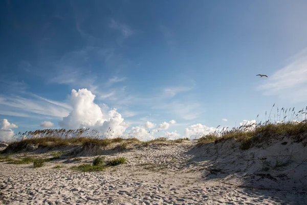 Облака Морской Овес Пляже — стоковое фото