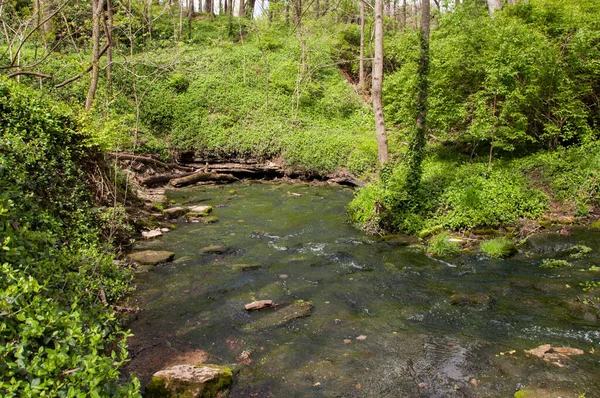 Mcconnell Springs Travel Place Background — Stock Photo, Image