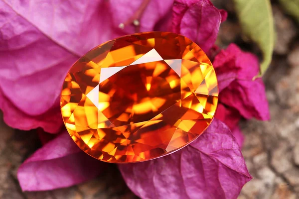 Close Beautiful Luxury Gemstones — Stock Photo, Image
