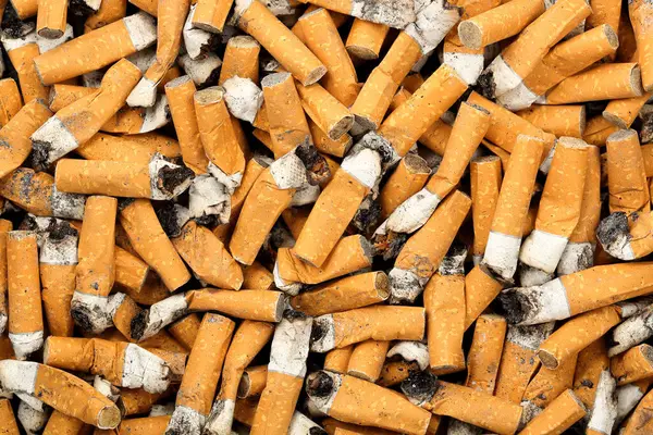 Colillas Cigarrillos Cerca —  Fotos de Stock