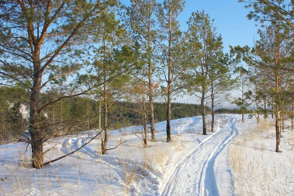 美しい冬の風景 自然背景 — ストック写真