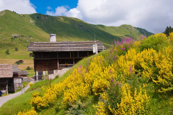 Het Prachtige Alpenlandschap Oostenrijk Zomer — Stockfoto