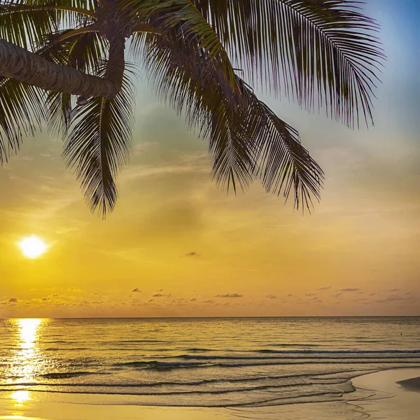 Schöner Blick Auf Den Strand Bei Sonnenuntergang — Stockfoto