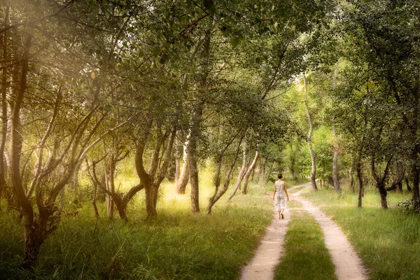 Dospělá Žena Kráčí Lesem — Stock fotografie