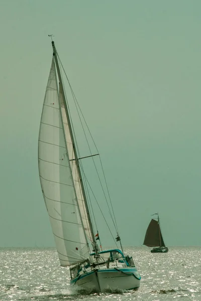 Segelbåtar Som Flyter Havet — Stockfoto