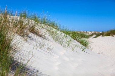 Dunes Kuzey Denizi üzerinde