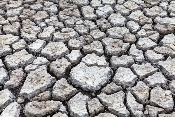 Dry season, climate change
