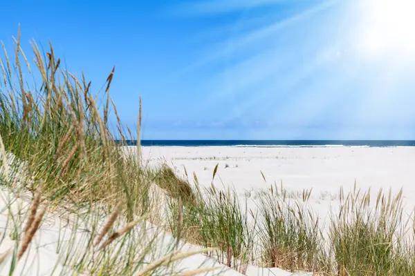 Dunes on the north sea