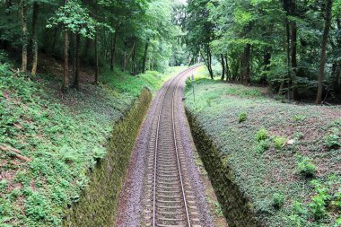 Bir tren istasyonunda birden fazla tren yolu var.
