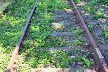 Bir tren istasyonunda birden fazla tren yolu var.