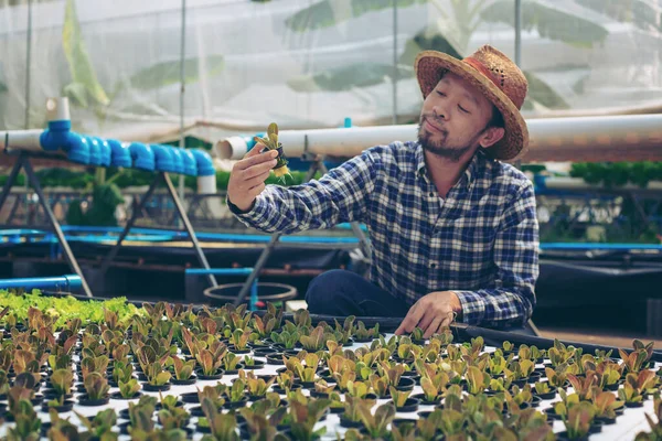 Para Petani Era Baru Dengan Senang Hati Tersenyum Kebun Sayurnya — Stok Foto
