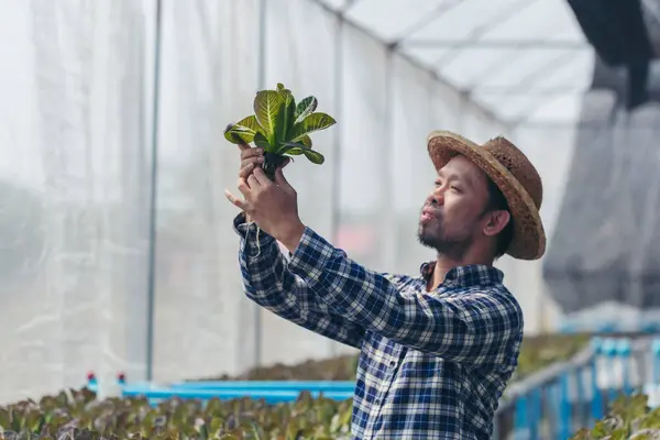 Les Fermiers New Age Sourient Joyeusement Sur Ferme Légumes — Photo
