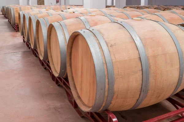 Fmerican Oak Barrels Aging Modern Winery — Stock Photo, Image