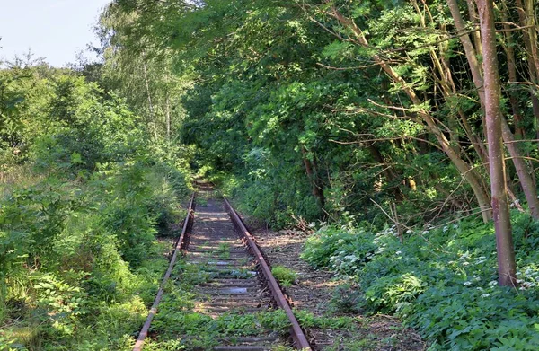 駅構内にジャンクションのある複数の鉄道線路 — ストック写真