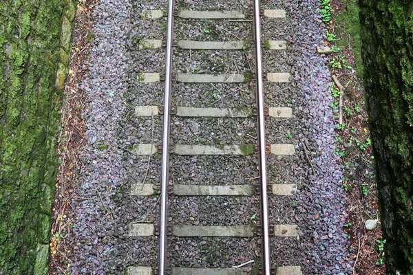 Multiple Railroad Tracks Junctions Railway Station — Stock Photo, Image