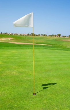 bir golf sahası yeşil bayrak