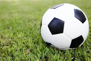 Yeşil çimlerin üzerinde futbol topu.