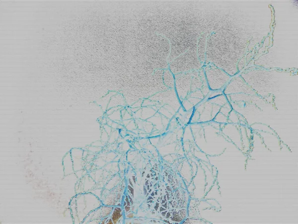 추상적 얼룩죽은 나무와 물보라 — 스톡 사진