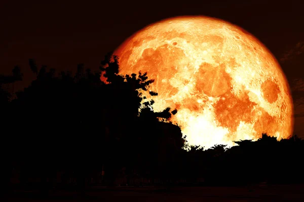 Natthimmel Månen Astrologikonceptet — Stockfoto