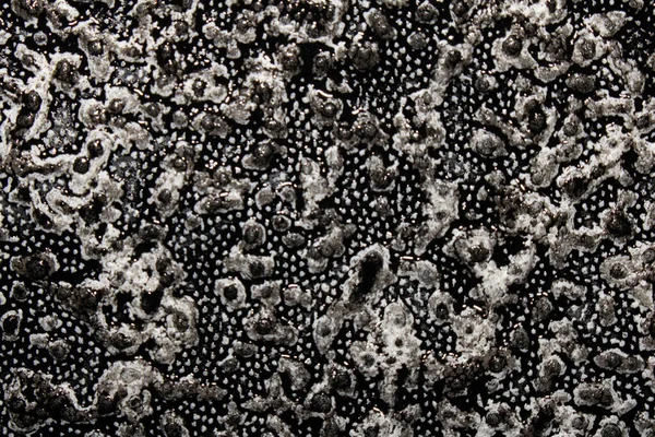 Black Ink Paint Splatter Drip White Background — Stock fotografie
