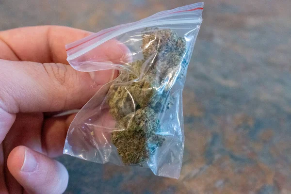 Velký Plastový Pytel Léčivé Konopí Marihuany — Stock fotografie