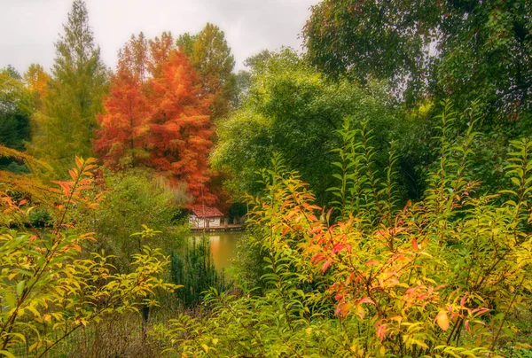Autumn Colors Ataturk Arboretum — 스톡 사진