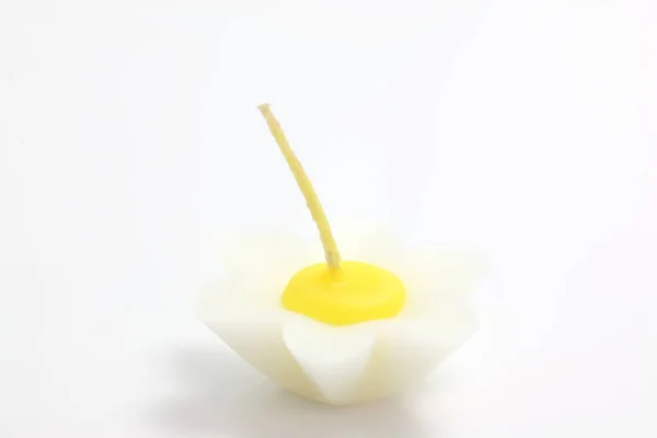 Flower Candle Isolated White Background — Stock Photo, Image